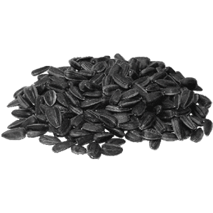 Sunflower seeds PNG-42934